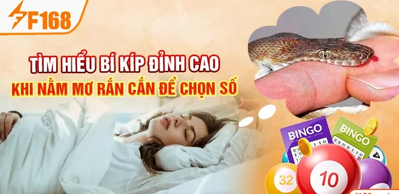 Tìm hiểu bí kíp đỉnh cao khi nằm mơ rắn cắn để chọn số Tìm hiểu bí kíp đỉnh cao khi nằm mơ rắn cắn để chọn số