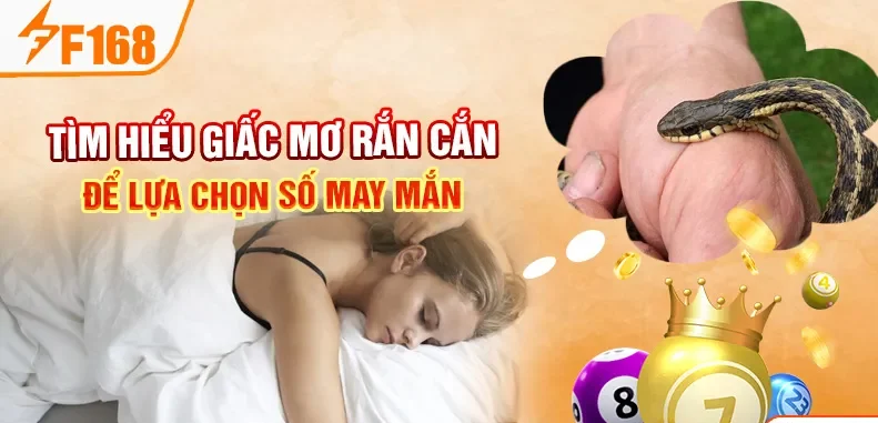 Tìm hiểu giấc mơ rắn cắn để lựa chọn số may mắn Tìm hiểu giấc mơ rắn cắn để lựa chọn số may mắn